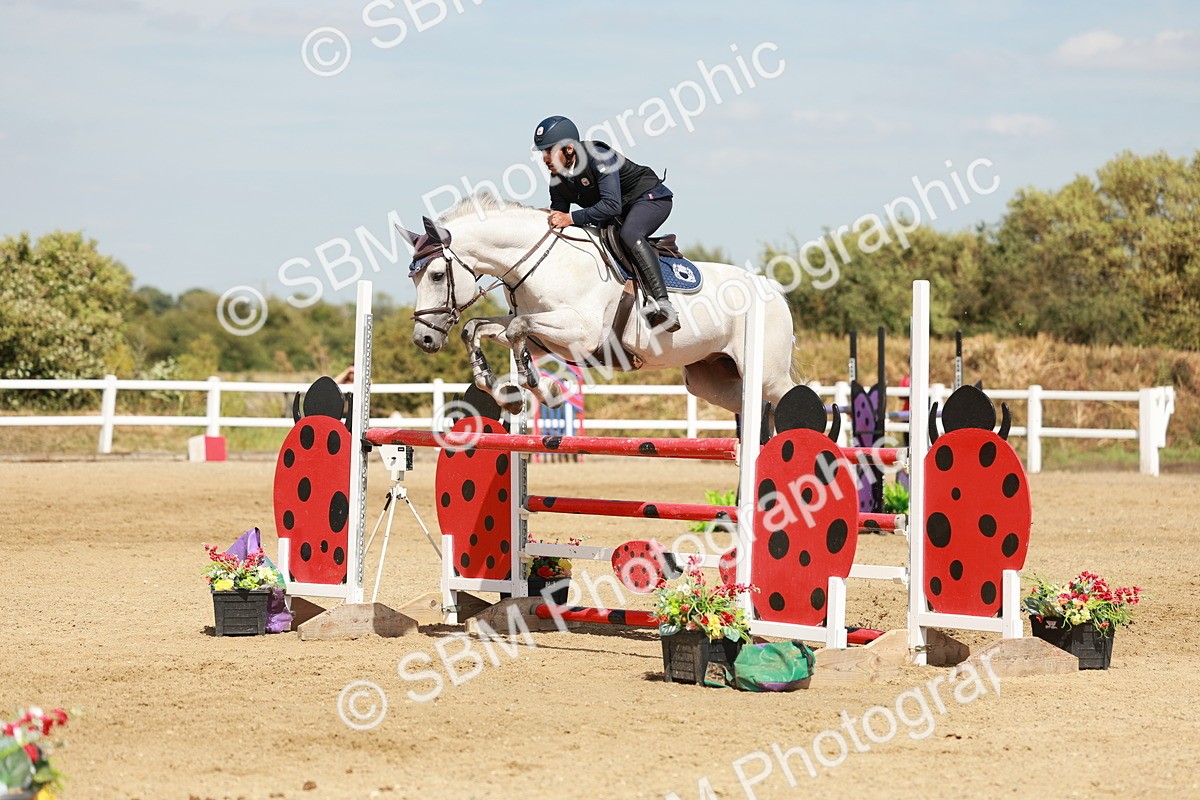SBM_008031 - Class 4 - Senior Foxhunter - 1.20m Open