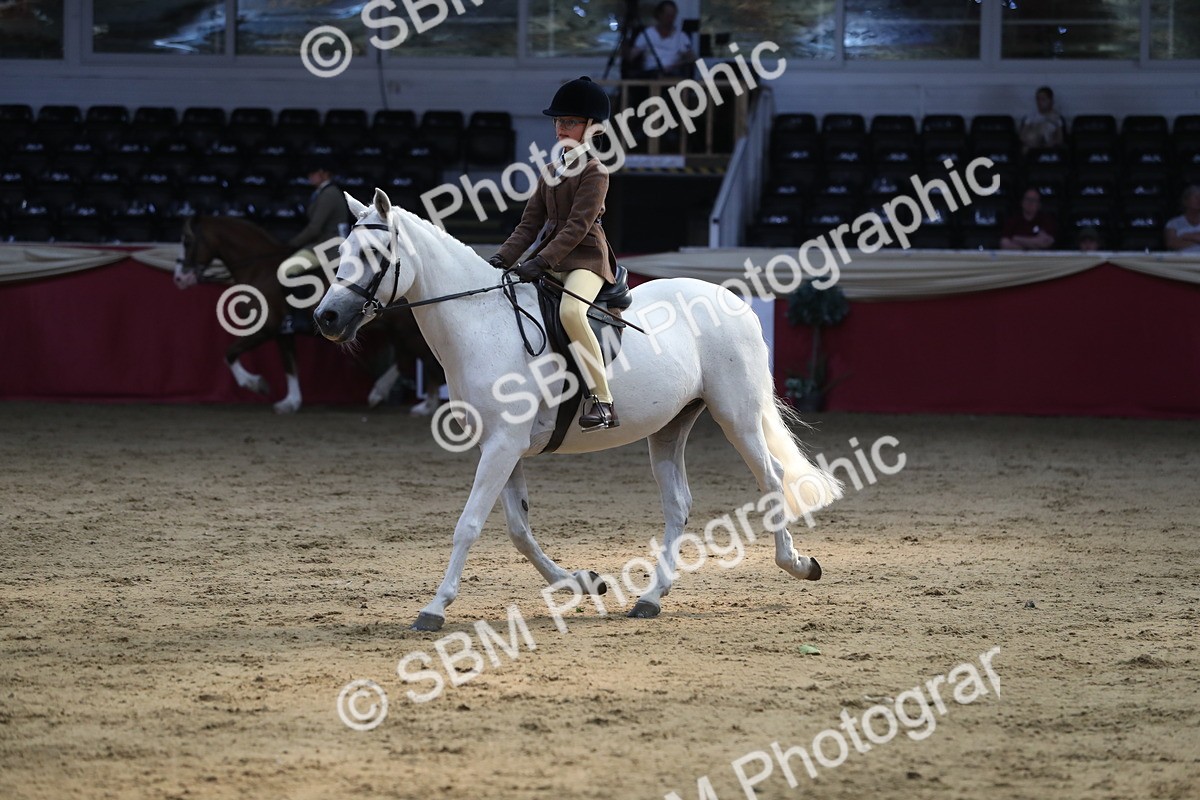 SBM_08345 - Class 11R Regional Ridden Veteran