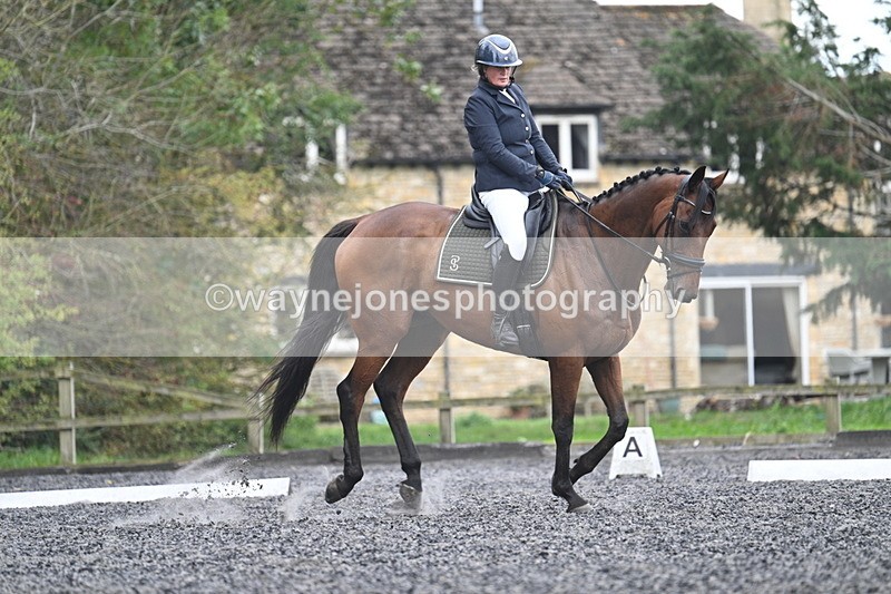 WJ7_6136 - Time 14:10 to 14:45