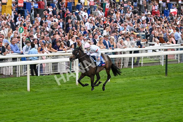 230825-Race 4-Ethical Diamond-0582 - Race 4 3.35pm Sky Bet Ebor Handicap