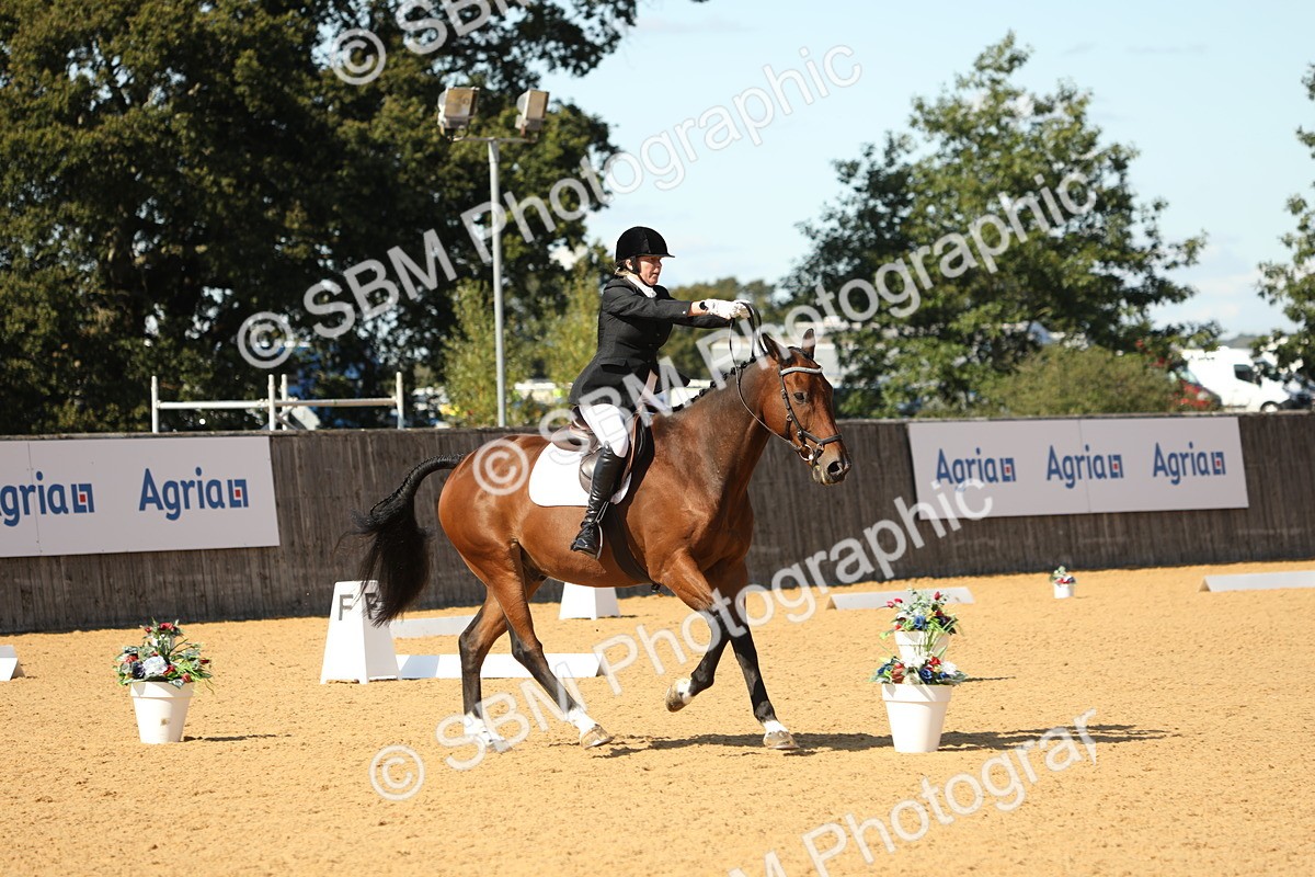 SBM_24446 - D17 - Grand Tour Championship - Novice 27