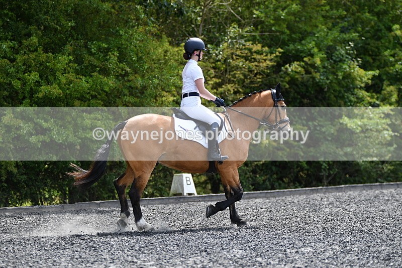 WJ5_0974 - Time 13:45 to 14:20