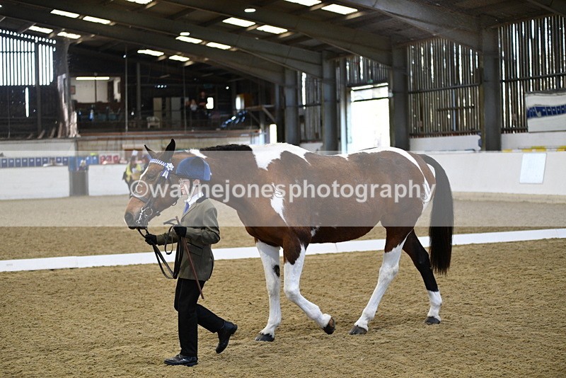 WJ5_3823 - Class 5 In Hand Veterans