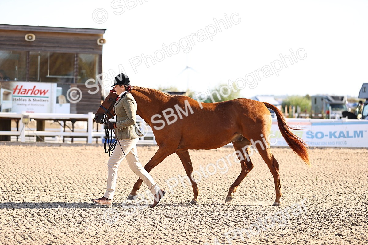 SBM_08357
