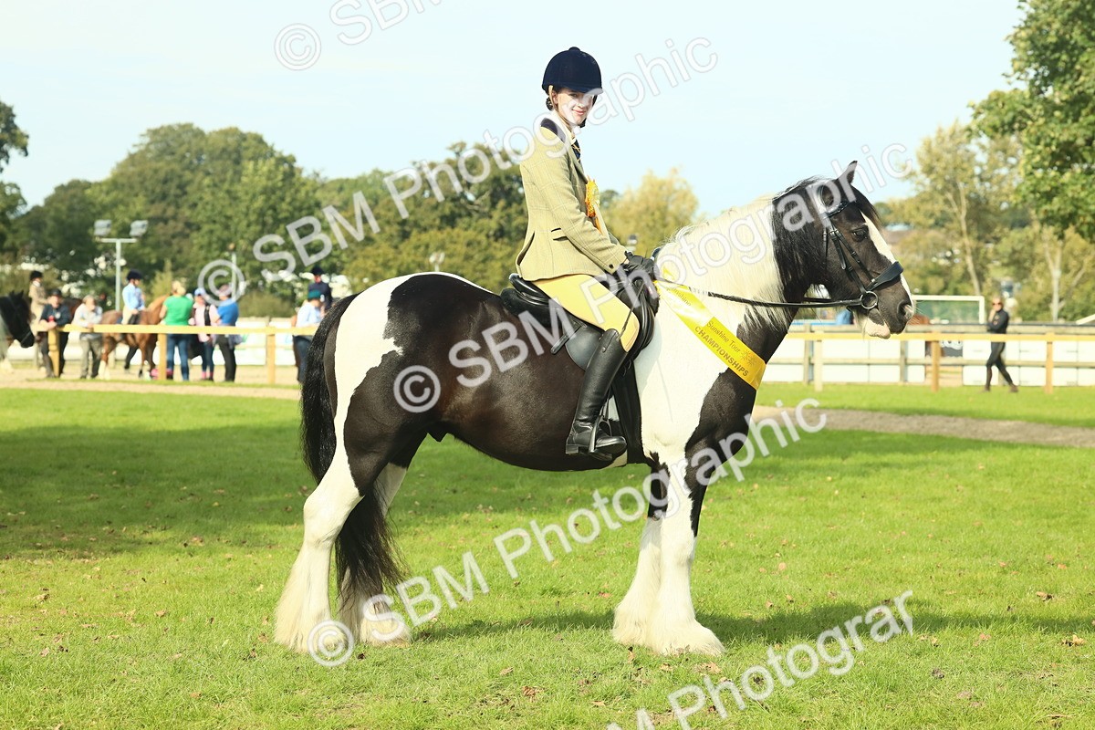 SBM_68968 - S58 - Mini Show Cob Ridden