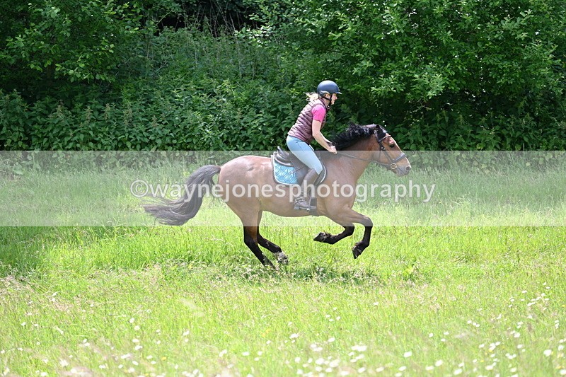 WJ7_8856 - Group 4 11am