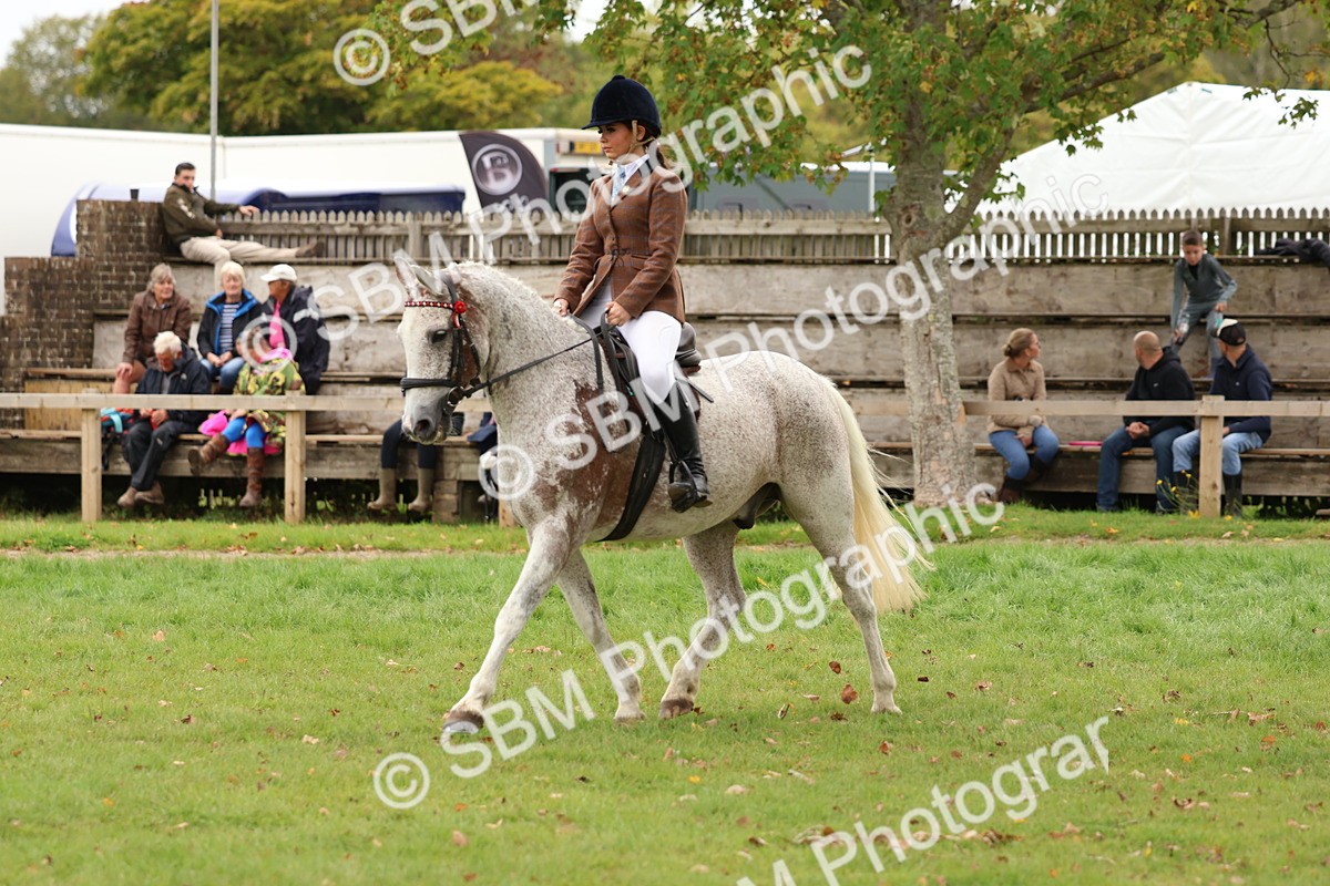 SBM_64538 - S58 - Coloured Pony Ridden
