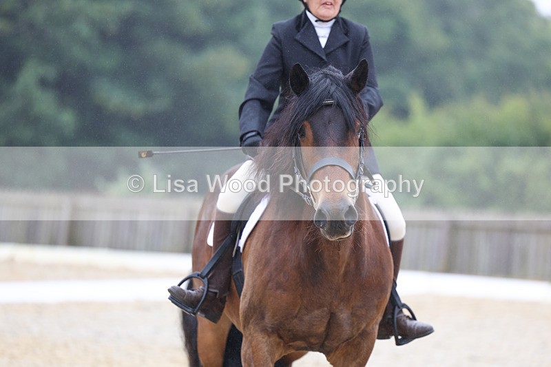 3E7A8172 - Class 1: Intro 3 2024 section A