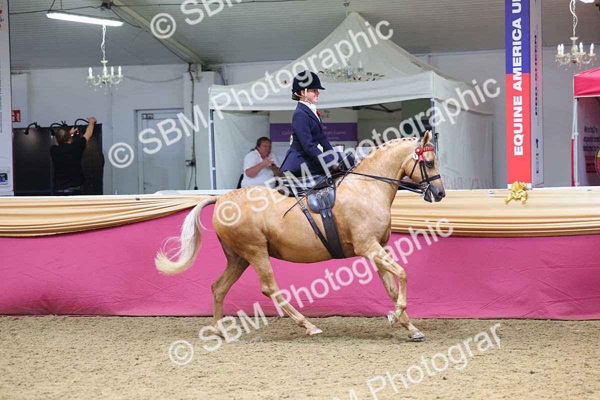 SBM_24351 - Class 906 - Supreme Final - Ridden Pre Vet