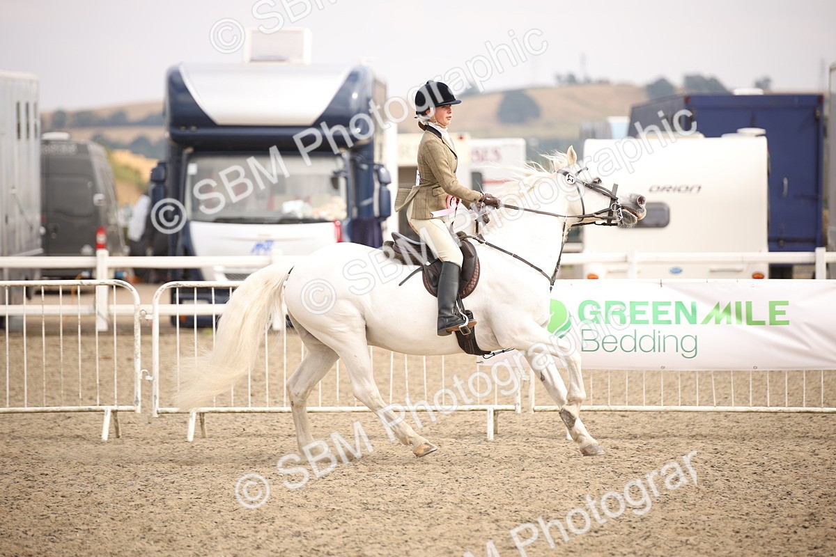 SBM_16115 - Class 408b - Working Veteran 70cm (20+)