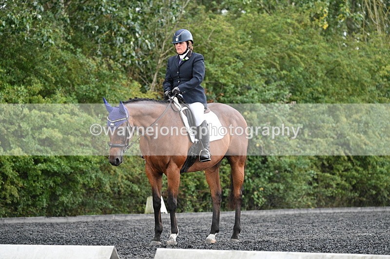 WJ7_8019 - Time 13:40 to 14:00