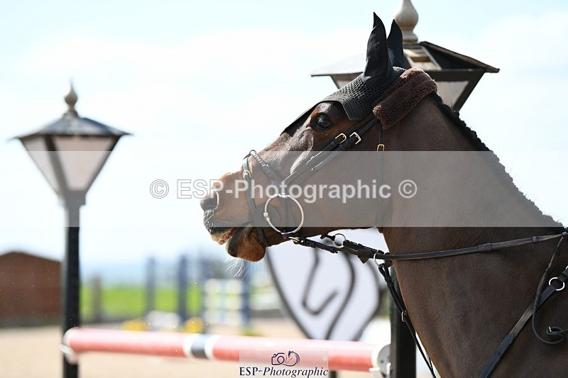 250328-130752-01146 - Cls 3 Snr Foxhunter