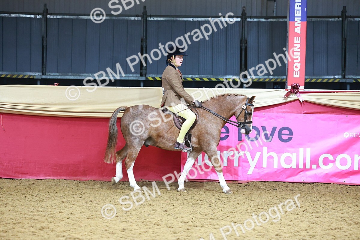SBM_12380 - Class 103 - HOYS Veteran Qualifier - Ridden Pre Vet
