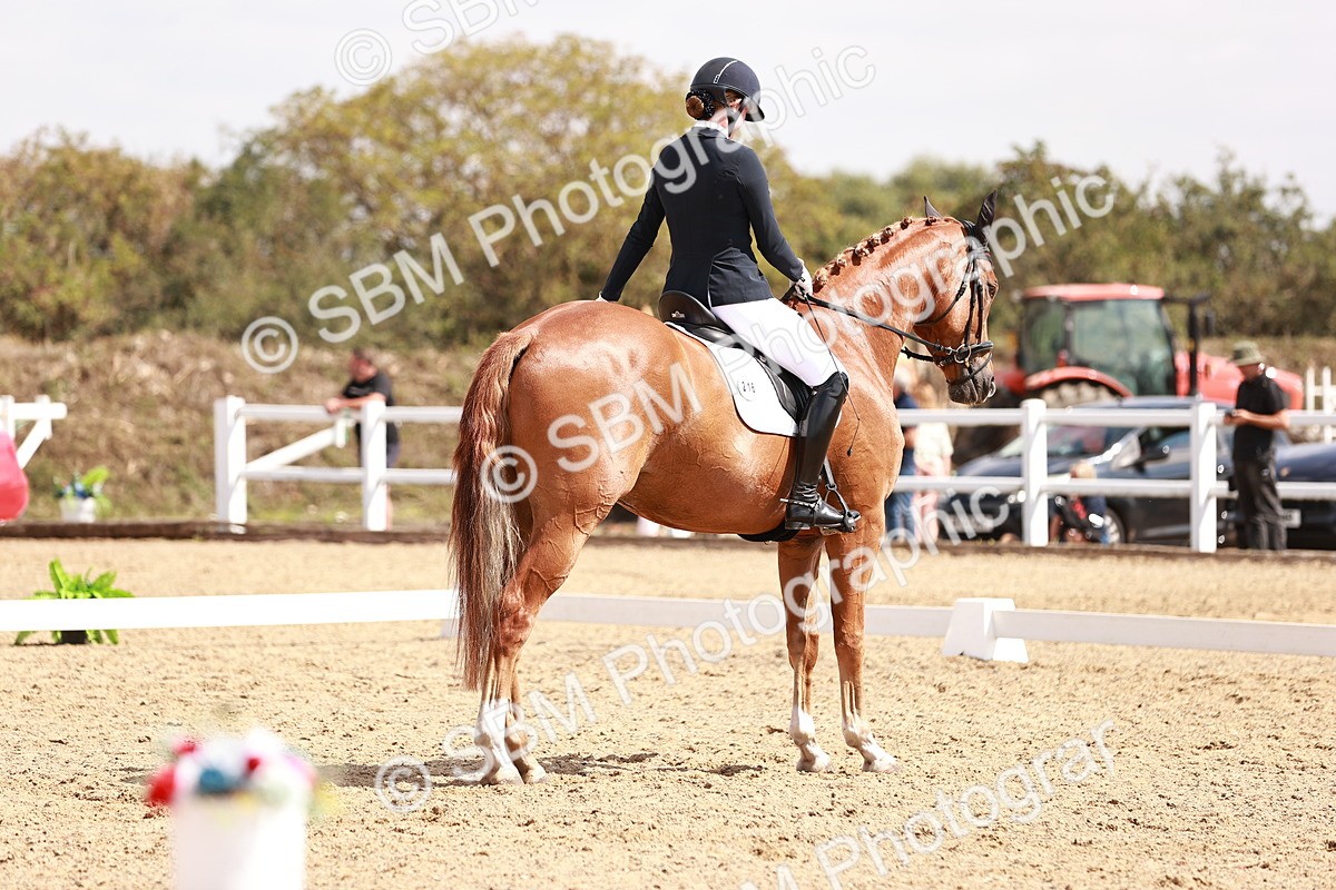 SBM_018483 - Class 17 - Novice 6