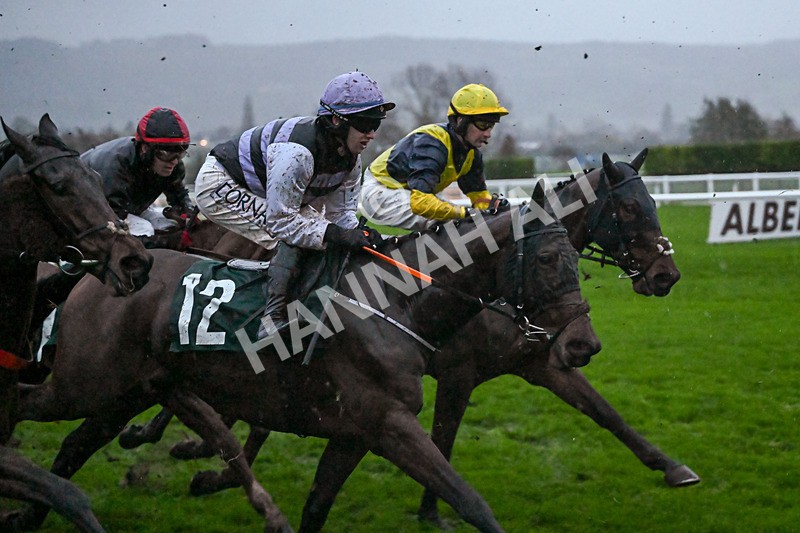 141125-Race 6-Katakana-1503 - Race 6