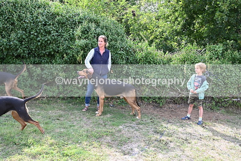 WJ6_3284 - Berks & Bucks - The Old farmhouse - Hound Exercise 20-08-25