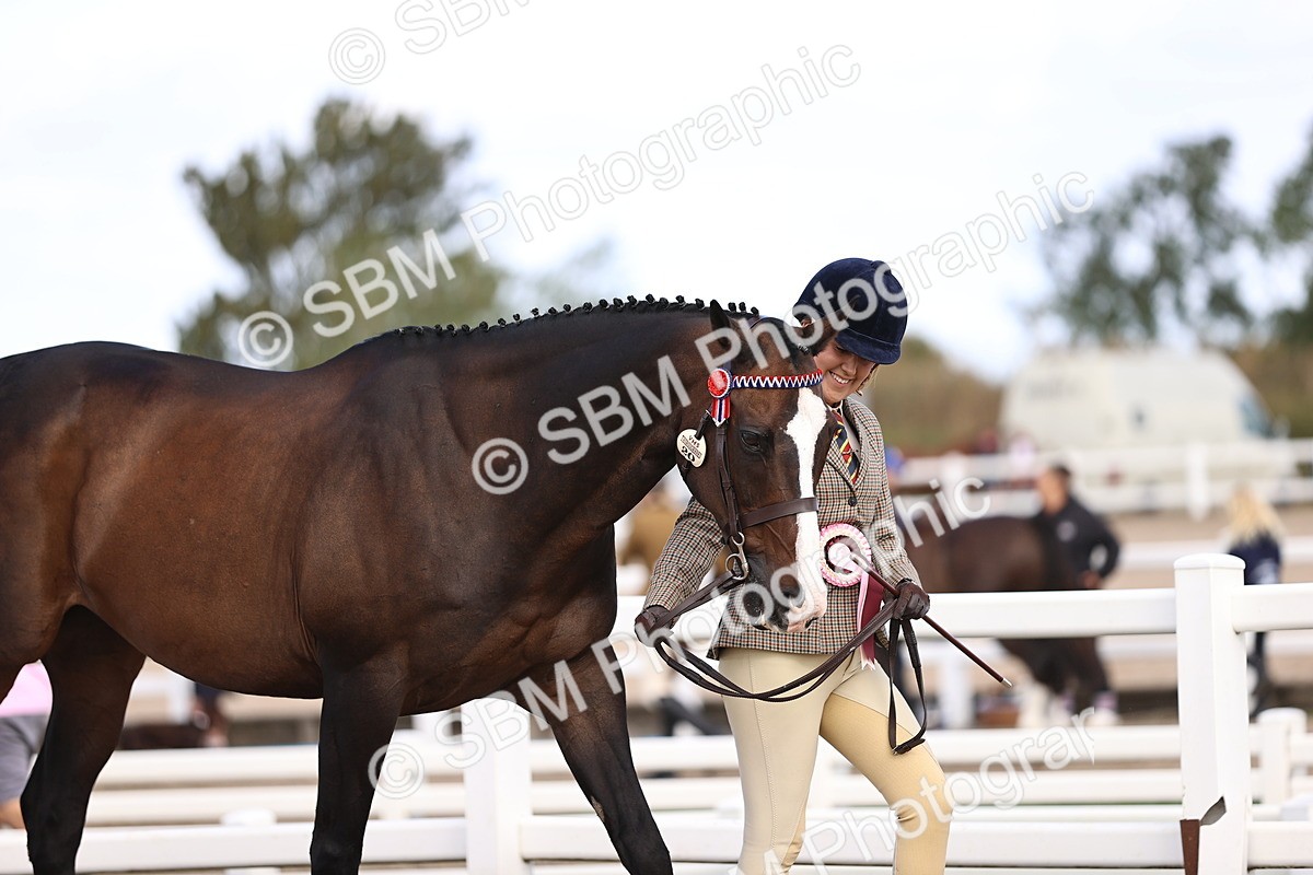 SBM_11575 - Class 407 - IH Hack-Riding Horse