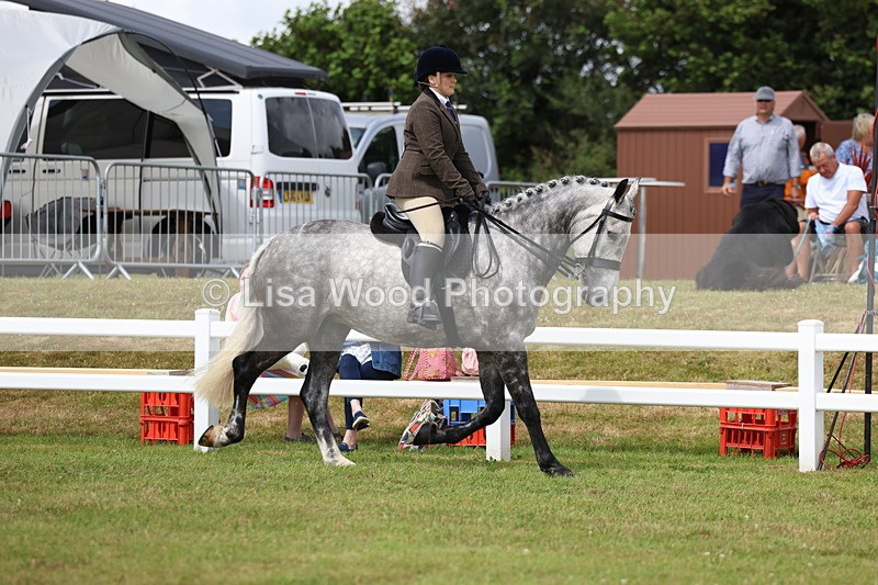 3E7A0481 - Rising Star Ridden Championship