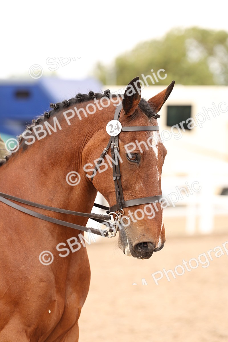 SBM_16515 - Class 212 - Ridden Hunter - Small