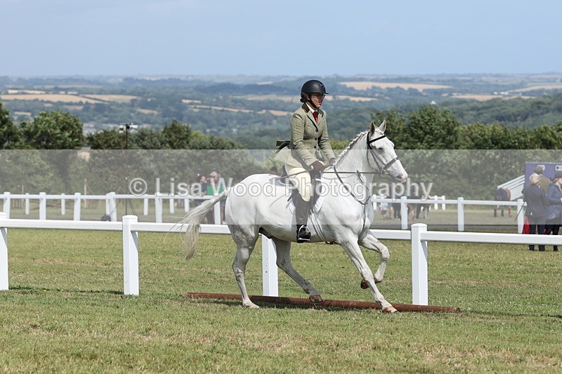 JPP_2278 - Class 19: Working Hunter 60cm