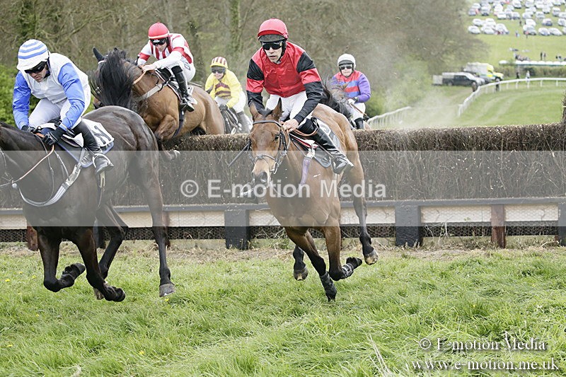 PtP 170417 453 - Old Berks Point-to-Point Lockinge 17/04/17