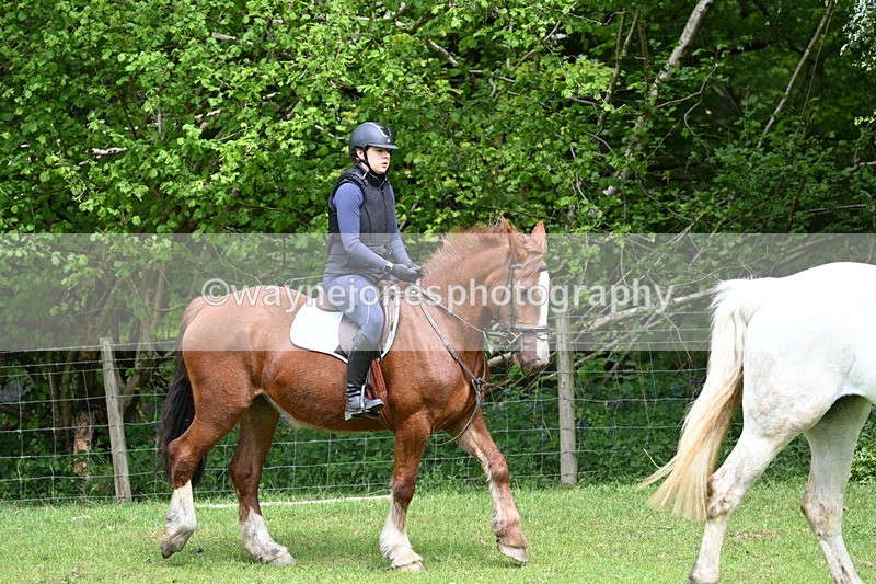 WJ7_2226 - Group 4 A&B Cameras