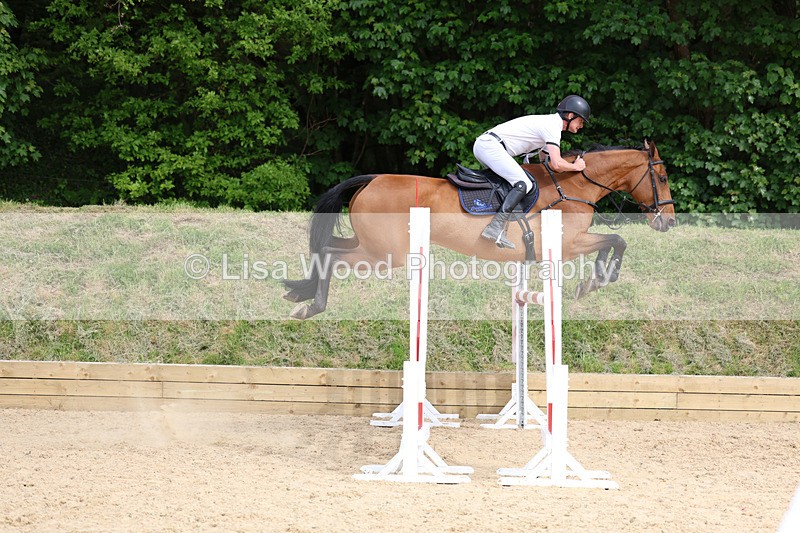 3E7A7836 - Class 8: Senior Foxhunter/1.20 open