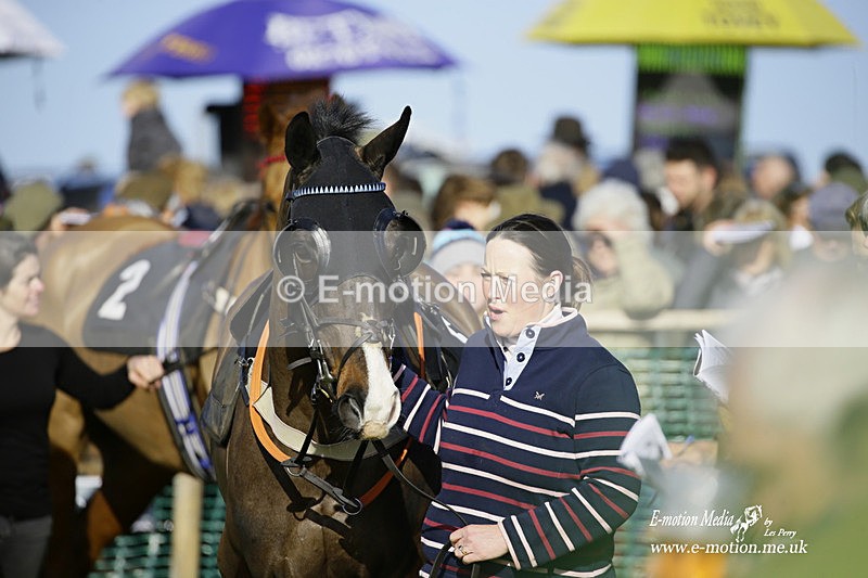 PtP 300122 64 - South Dorset Hunt - Point-to-Point Races 30/01/2022