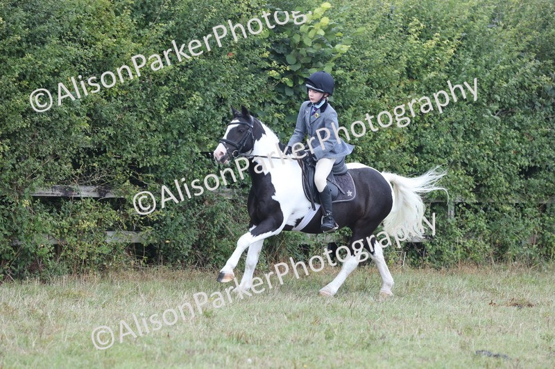 20250831-4276 - Class 20 - Ridden Coloured