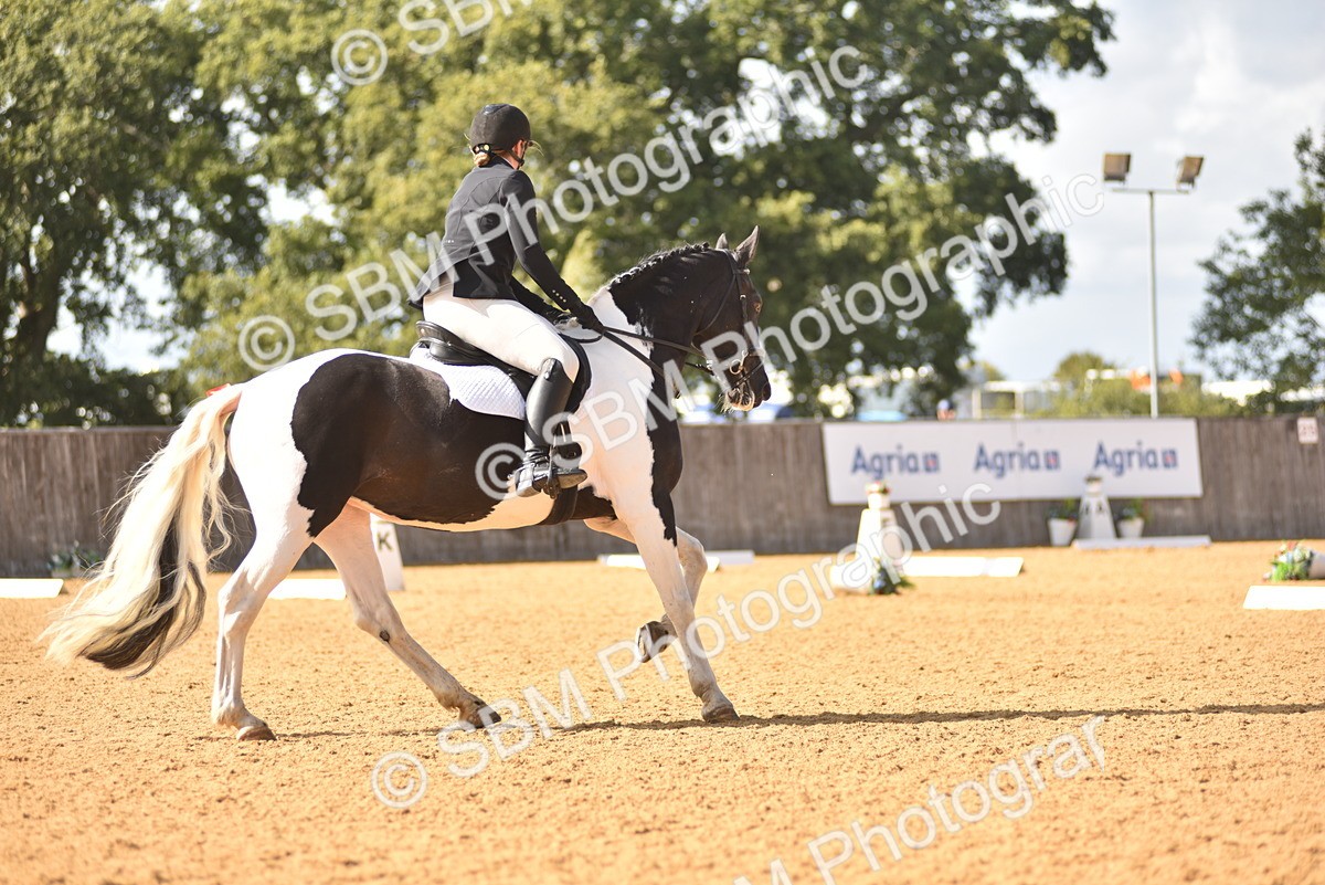 SBM_24322 - D4 - Small Tour Championship Intro 4