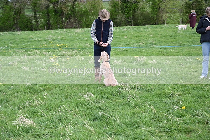 WJ6_8013 - Class 2 Best Pedigree