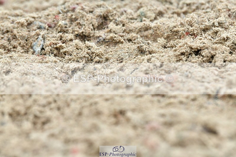 230804A-102533-01922 - Musical Ride