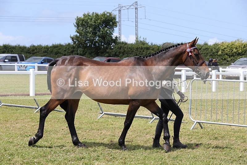 1X9A4885 - Class 35: Veteran In Hand