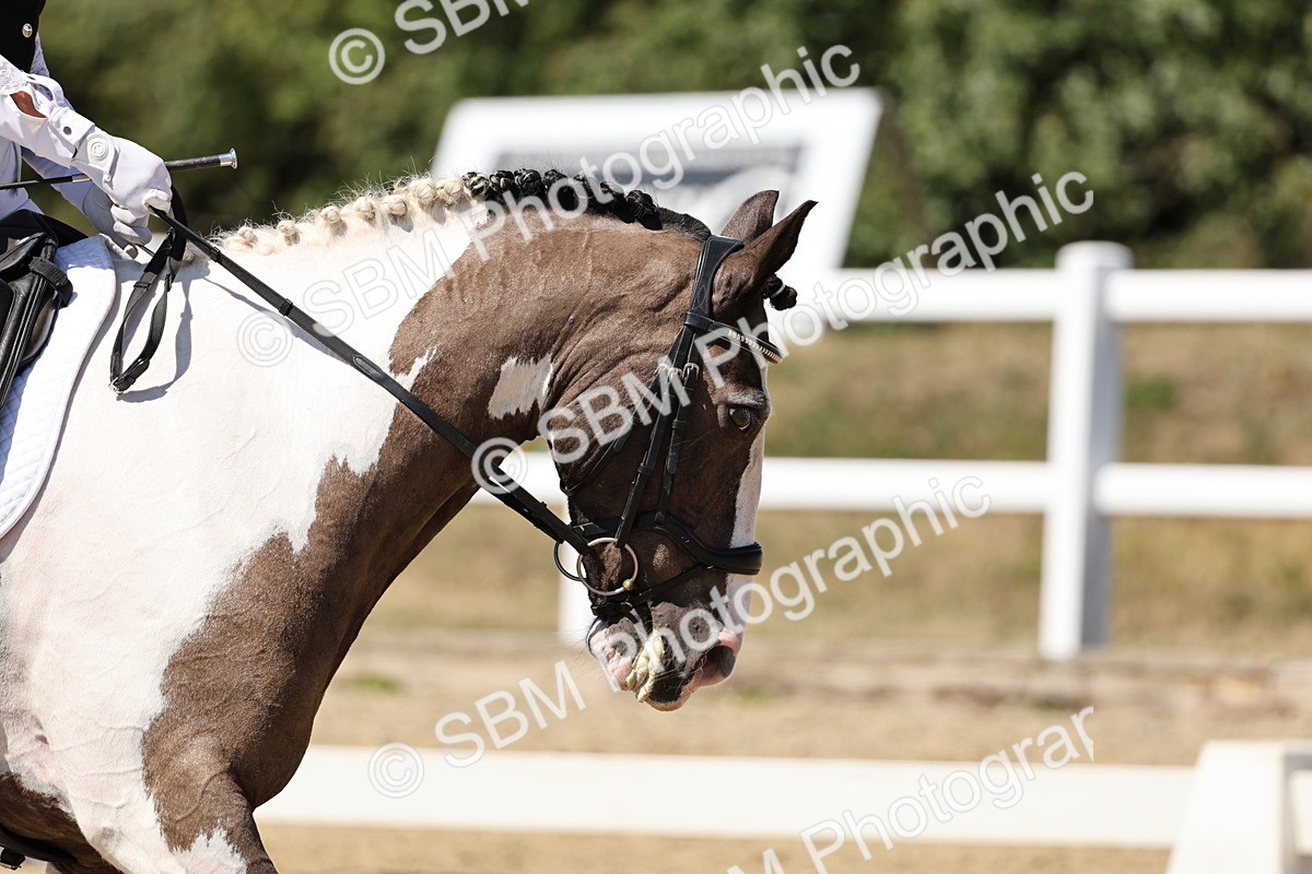 SBM_002656 - Prelim 4 - 13.41-16.04