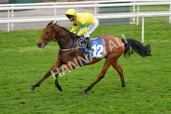 yr14052021r5-33 - Race 5 3.40pm The Jigsaw Sports Branding Handicap