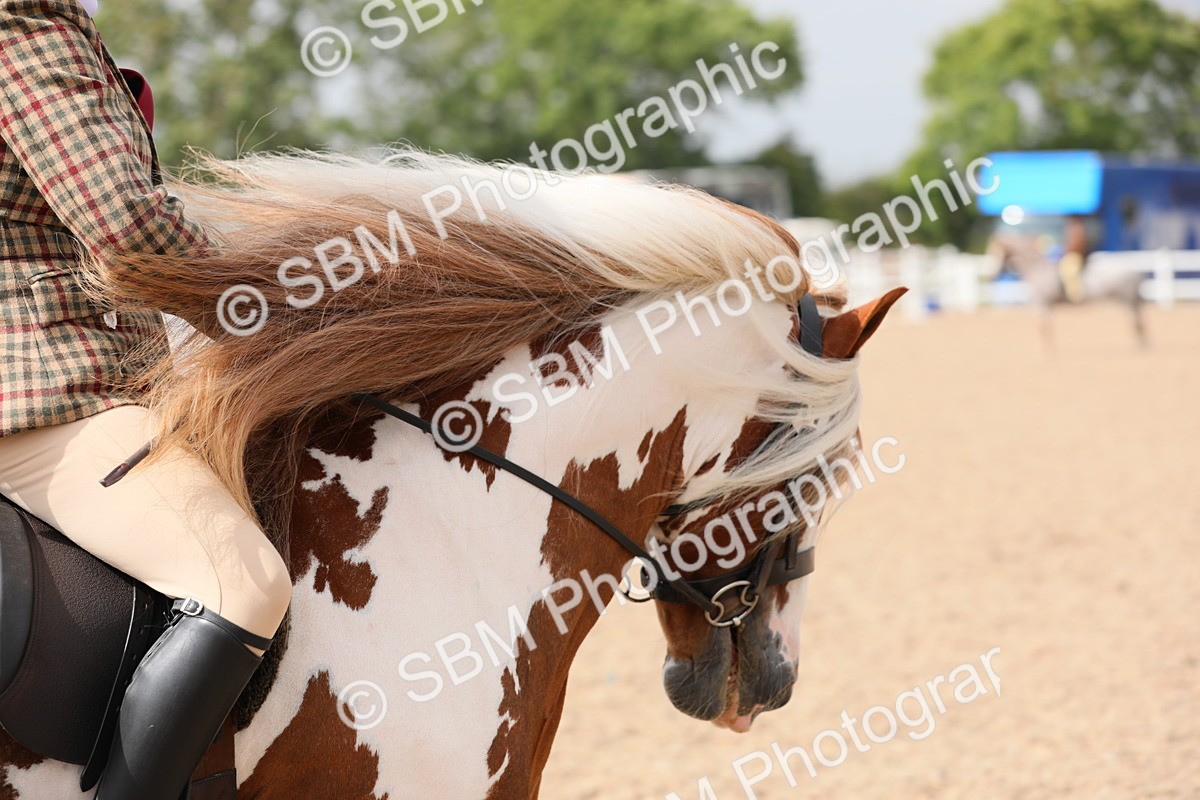 SBM_12774 - Class 307 Ridden Coloured Pony