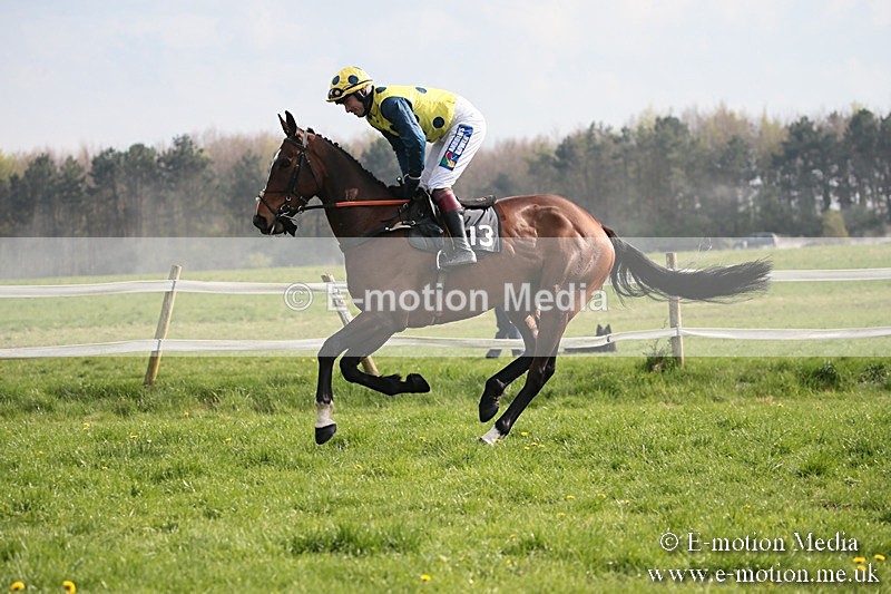PtP 210418 405 - South & West Wilts Point-to-Point Larkhill 21/04/18