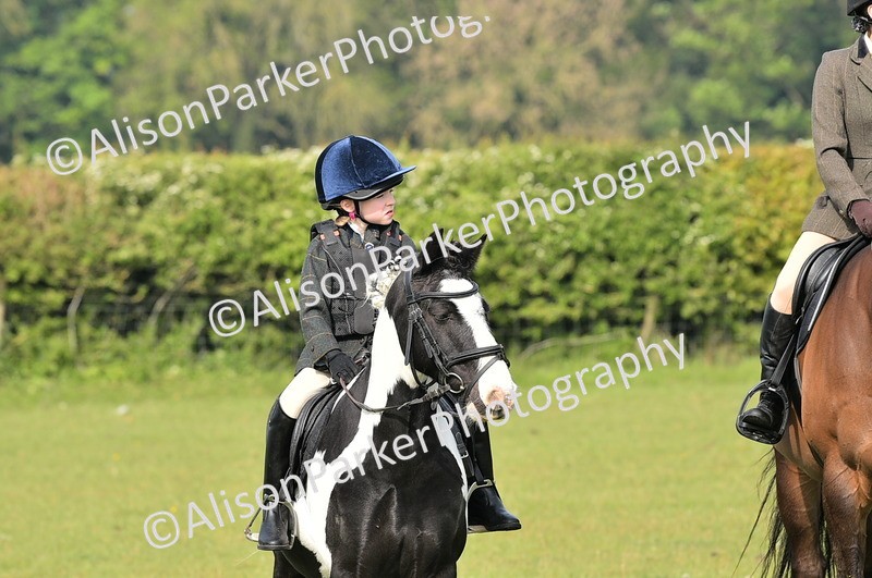 20260426-0892 - Class 18 - Novice Showing