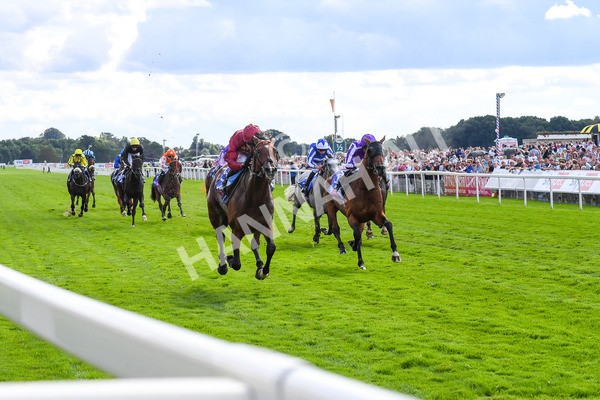 260823-Race 2-Middle Earth-0336 - Race 2 Sky Bet Melrose Handicap