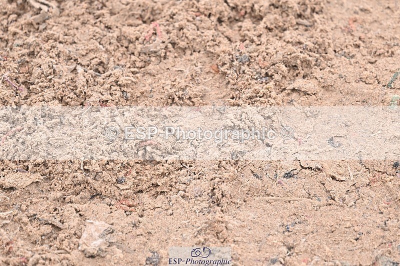 251029-121910-00454 - Newcomers and 1.10m