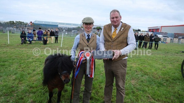 untitled-7257 - Shetland Pony Show