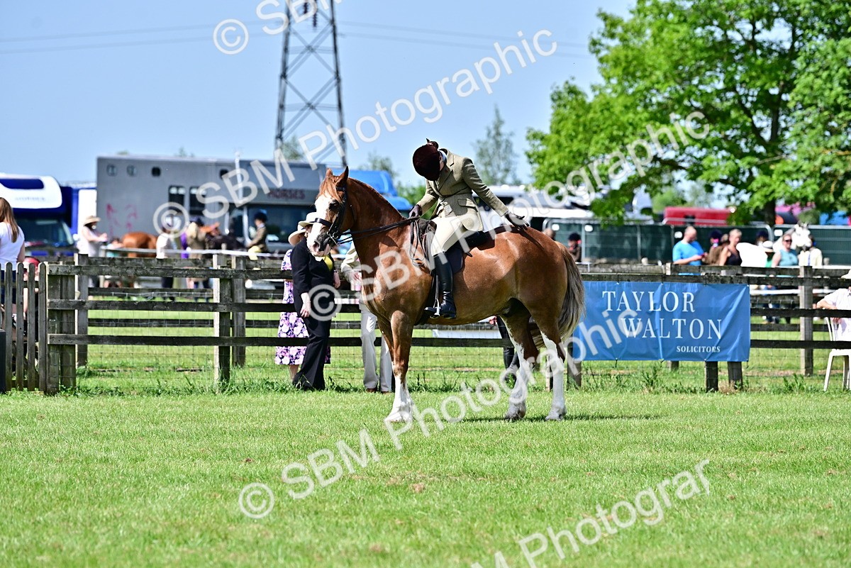 SBM_03844 - Class 58 - TSR  Ridden Veteran Amateur of the year