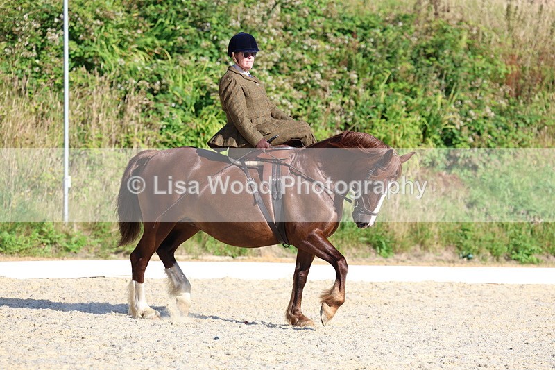 3E7A3445 - Class 2: Intro 1 2024 Section B