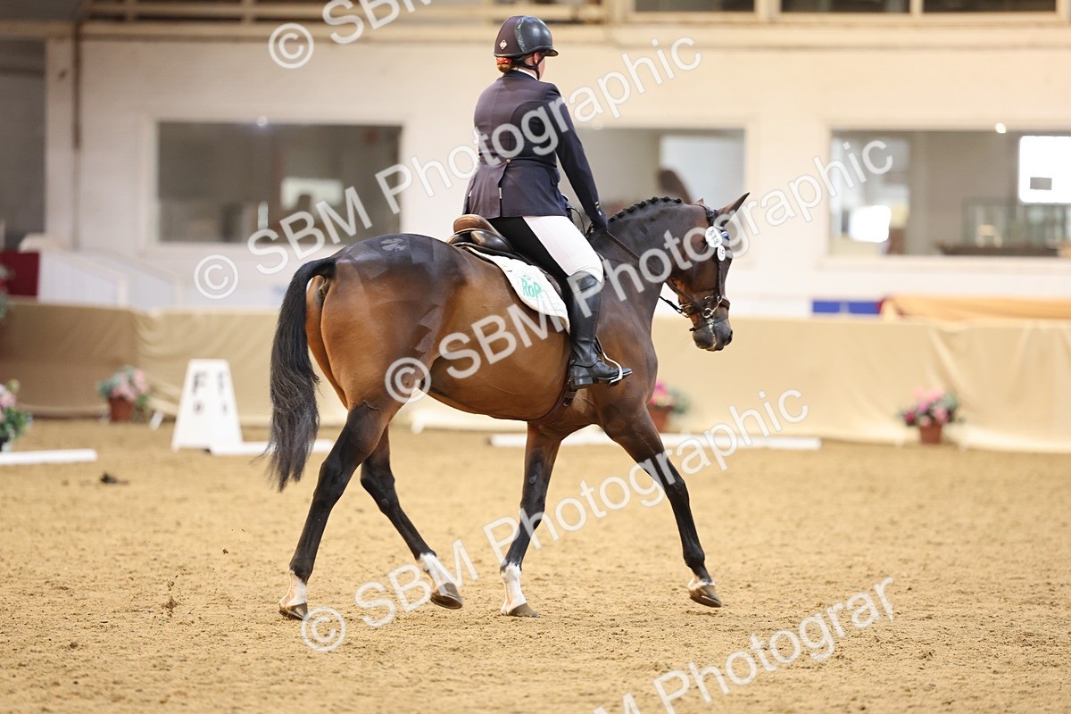 SBM_09542 - Class 51 - Dressage to music