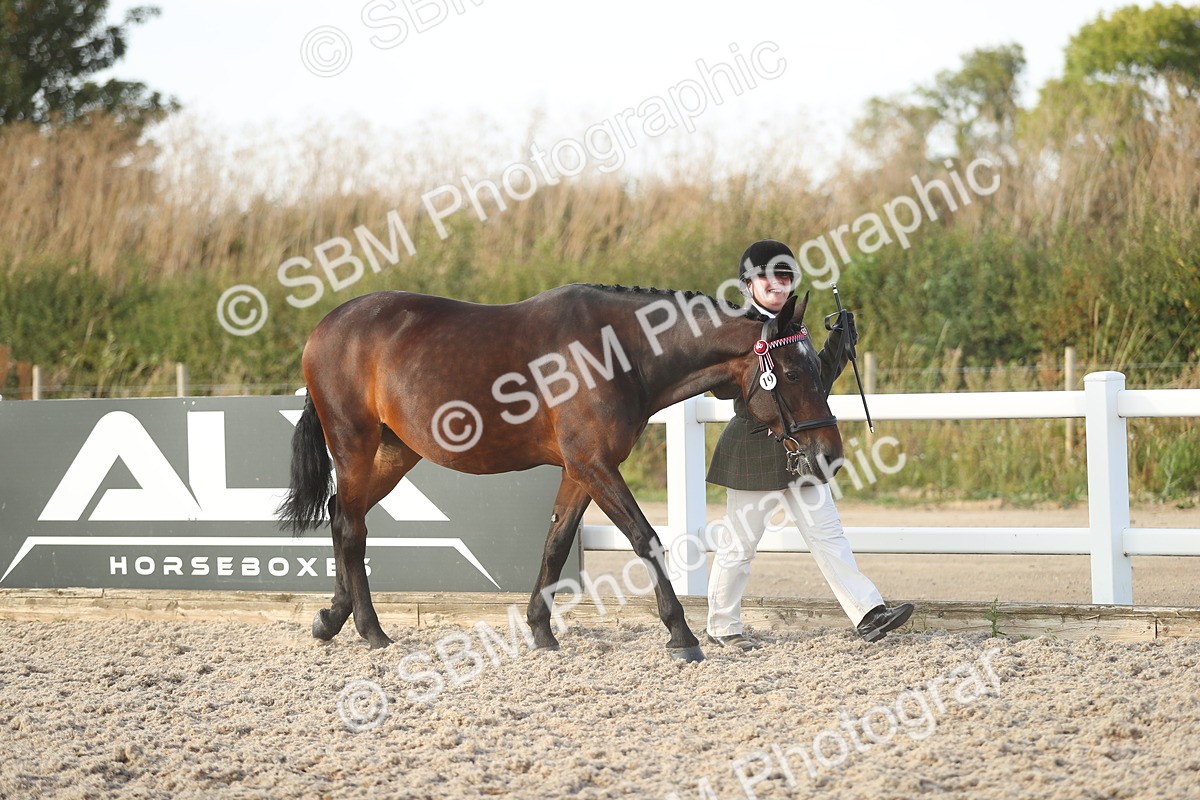 SBM_08730 - Class 28 - IH Veteran Horse