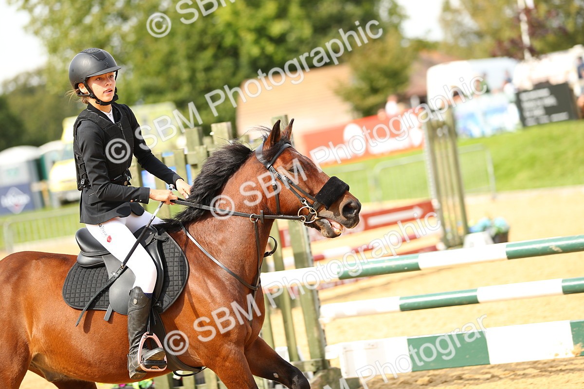 SBM_67161 - J17 - Junior Pony 80cm Championship