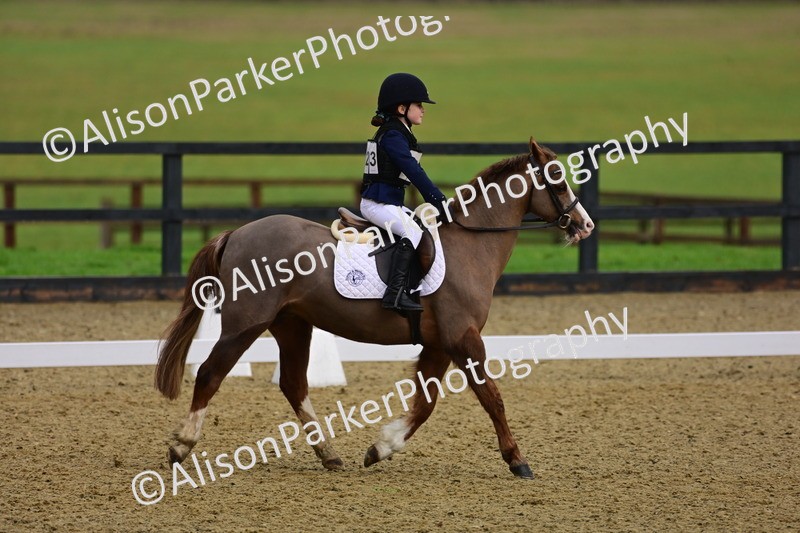 20260125-0659 - Class 9b - Walk Trot Unassisted