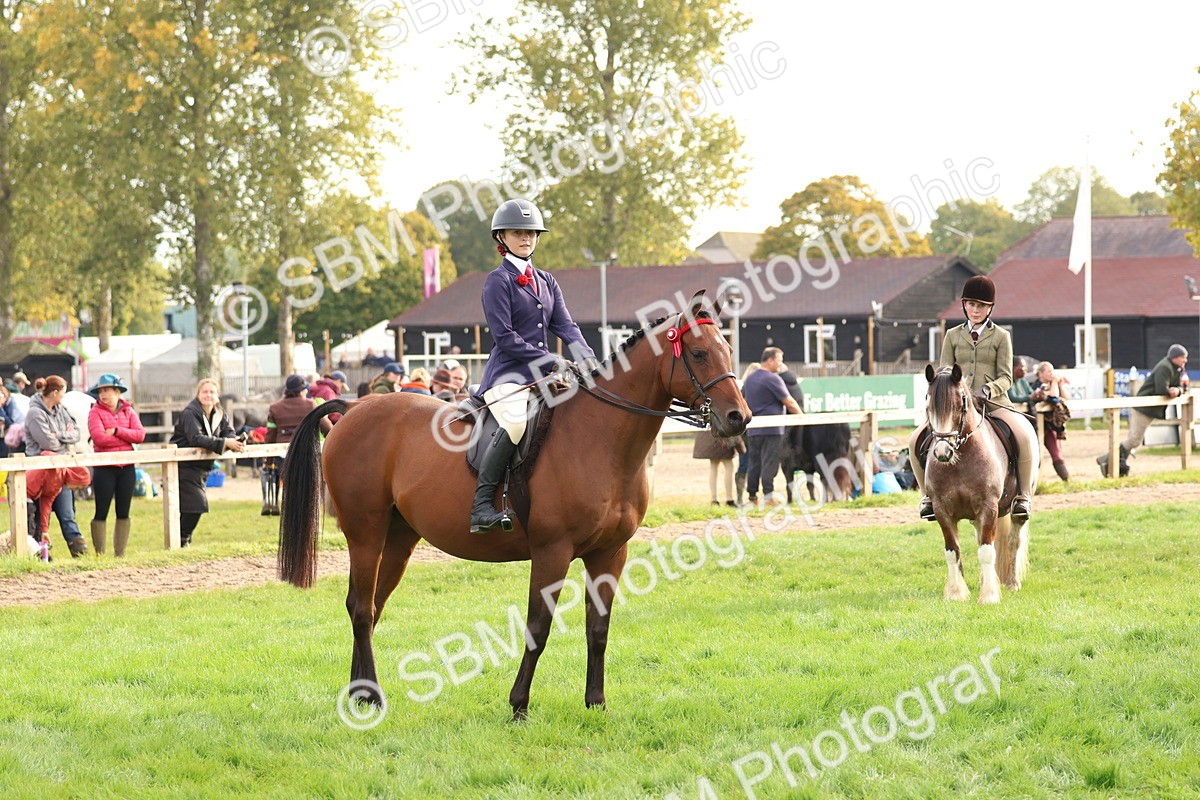 SBM_56637 - S40 - Starters Ridden Showing