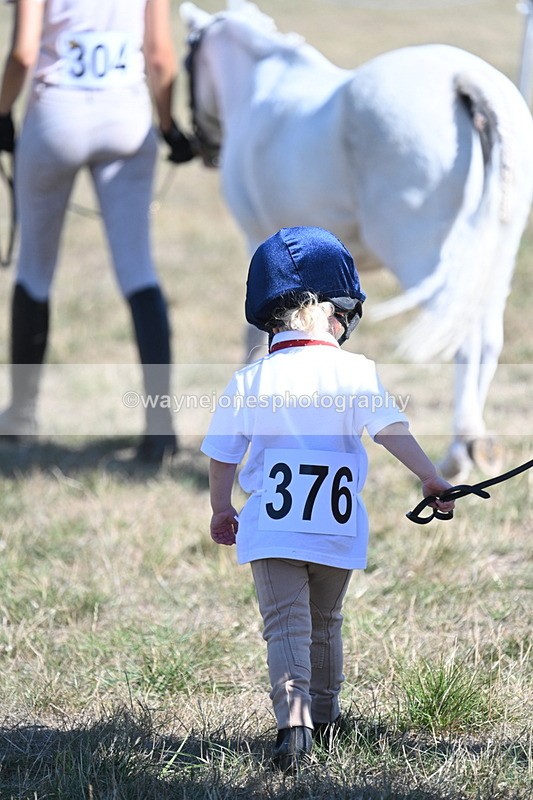WJ7_1775 - Class 43 Best Six Legs (In hand)