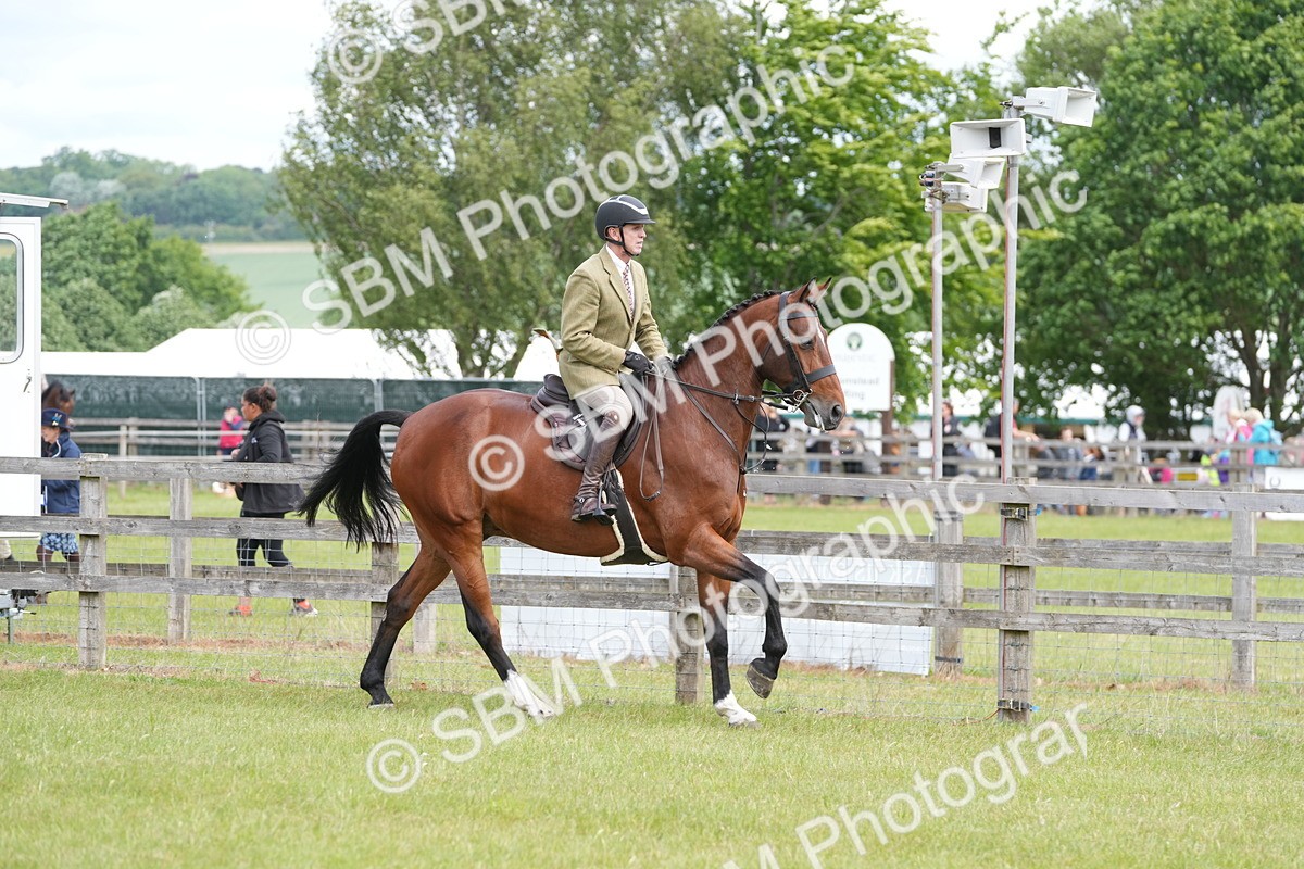 SBM_15004 - Class 100-102 - RIHS Working Hunter